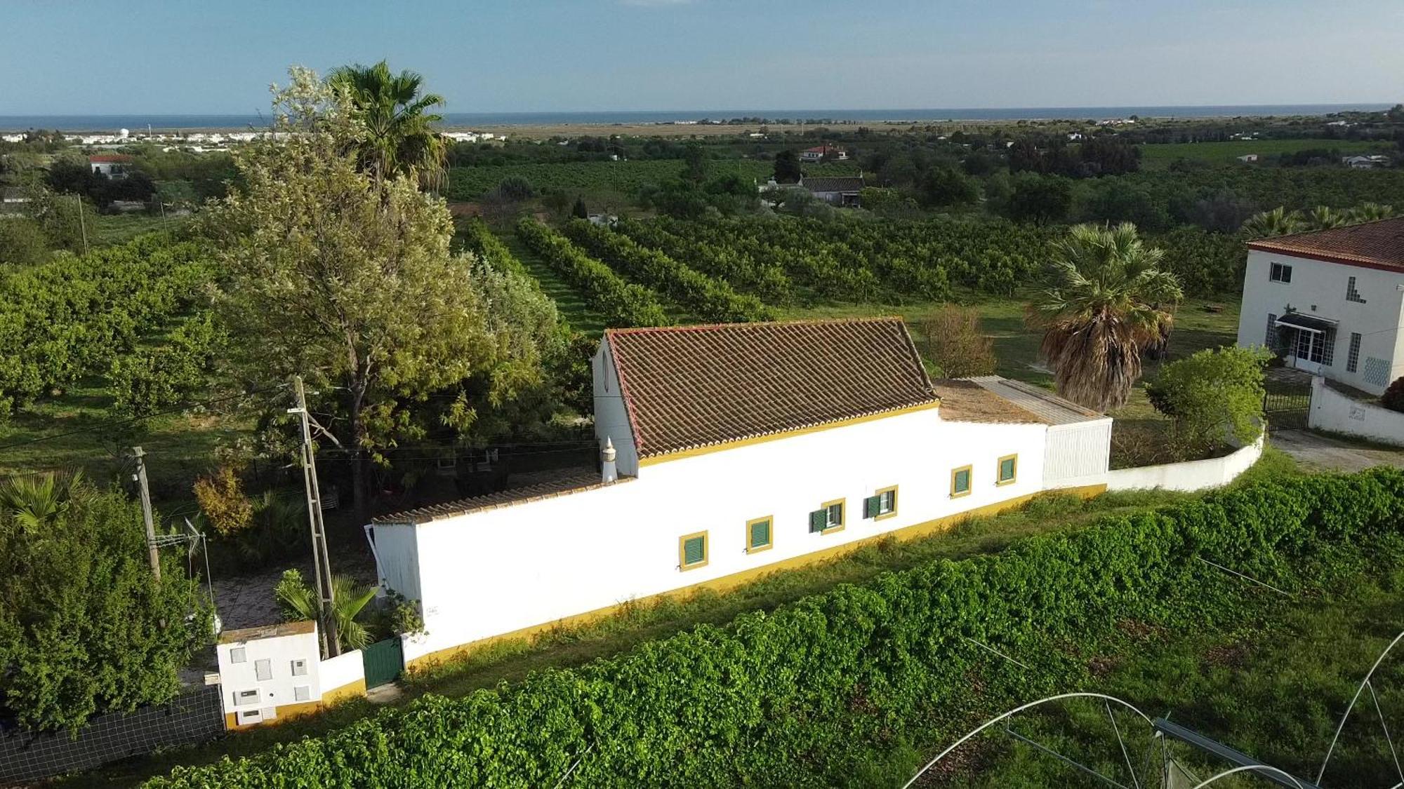 Hotel Quinta Rosa Branca Tavira Exteriér fotografie